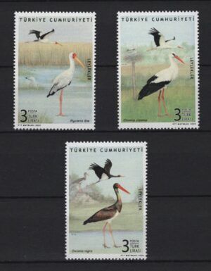Turkey (2020) Set / Birds