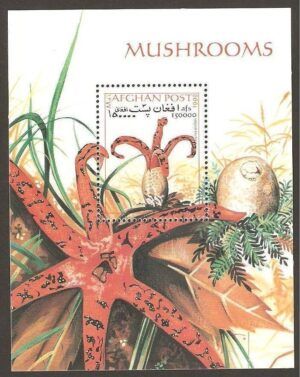 Afghanistan (1999) Mi. Bl. 107  /  Mushrooms