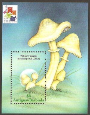 Antigua & Barbuda (2001) Yv. Bf. 493  /  Mushrooms