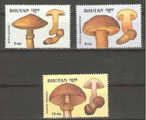 Bhutan (1989) Yv. 859/61  / Mushrooms