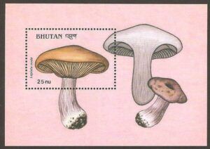 Bhutan (1989) Yv. Bf. 174  /  Mushrooms