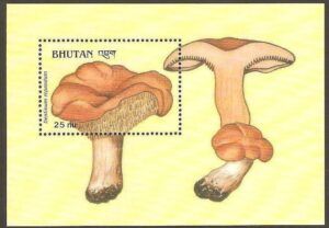 Bhutan (1990) Yv. Bf. 297  /  Mushrooms
