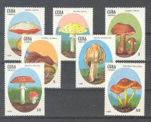 C* (1988) Yv. 2823/29  / Mushrooms