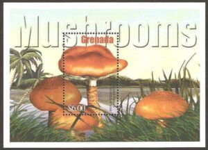 Grenada (2001)  Yv. Bf. 634  /  Mushrooms