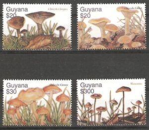 Guyana (2003) Yv. 5687/90  /  Mushrooms