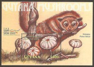 Guyana (2000) Yv. Bf. 383  /  Mushrooms