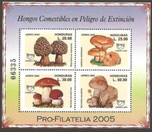 Honduras (2005) Yv. Bf. 82 / Mushrooms