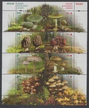 Poland (2012)  - MS -  /  Mushrooms