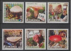 Romania (2008)  Yv. 5271/76  / Mushrooms