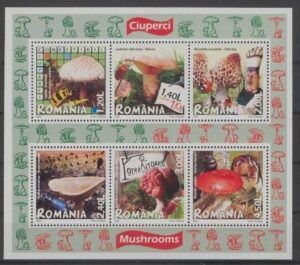 Romania (2008)  Yv. Bf. 343  / Mushrooms