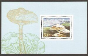 S. Tome (1984) Yv. Bf. 43  /  Mushrooms