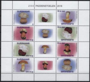 Suriname (2018) - MS -  /  Mushrooms