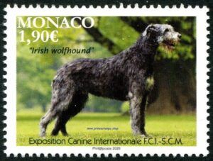Monaco (2020) - Set - / Dogs