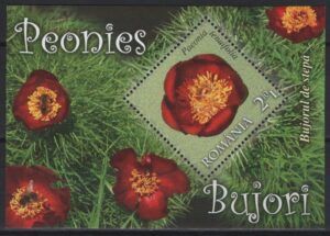 Romania (2011) Yv. Bf. 402 / Flowers