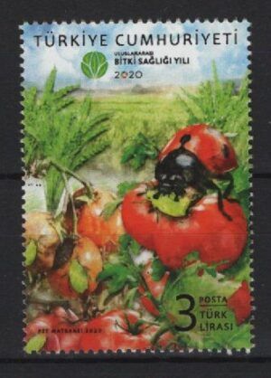 Turkey (2020) Set / Ladybug