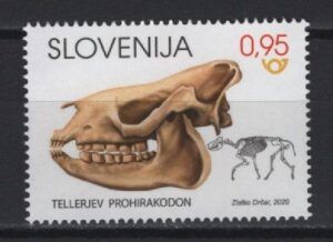 Slovenia (2020) - Set - / Fossil - Prehistory