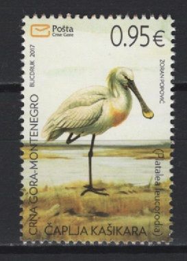 Montenegro (2017) - Set -  / Birds