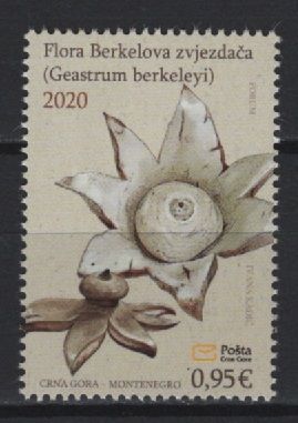 Montenegro (2020) - Set - / Mushrooms