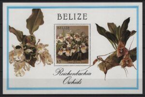 Belize (1988) Yv. Bf. 85 / Orchids