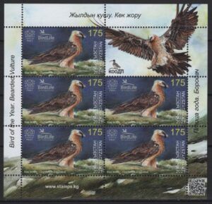 Kyrgyzstan (2021) MS / Eagles
