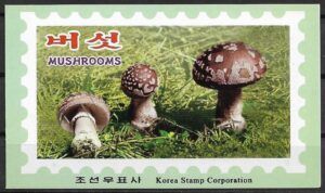 Korea (2003) Mi. 4697/01 - Booklet / Mushrooms