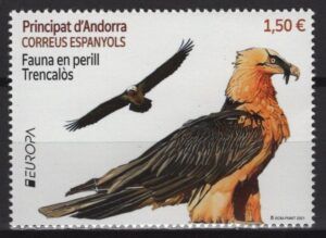 Andorra Sp. (2021) Set / Bird of Prey