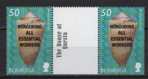 Bermuda (2021) Pair / Covid - 19