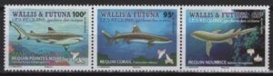 Wallis & F. (2021) Set / Sharks