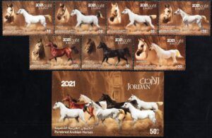 Jordan (2021) Set / Horses