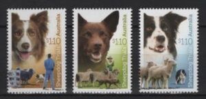 Australia (2022) Set / Sheep Dogs