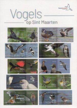 St. Martin (2019) MS / Birds