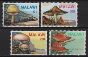 Malawi (1985) Mi. 441/44 / Mushrooms