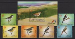 Qatar (2009) Set + Block / Birds