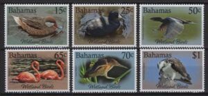 Bahamas (2022) Set / Birds
