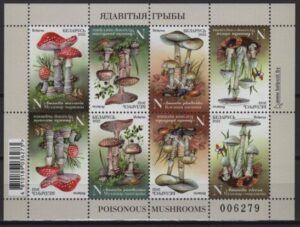 Belarus (2022) MS / Mushrooms