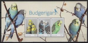 Australia (2022) Block / Budgerigars