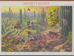 USA (1999) Nature of America #1 / Sonoran Desert