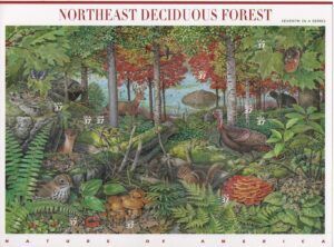 USA (2005) Nature of America #7 / Northeast Deciduous Forest
