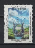 Morocco (2023) Set / Food Day