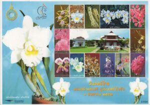 Thailand - MS - #017 / Flowers