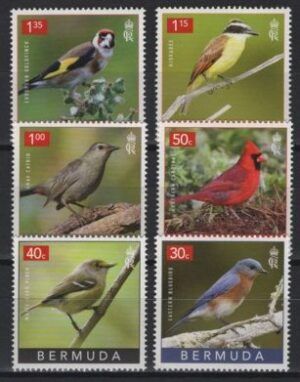 Bermuda (2023) Set / Birds
