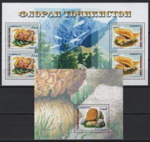Tadjikistan (1999) Yv. Bf. 21/22 / Mushrooms