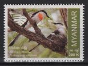 Myanmar (2023) Set / Bird (3)