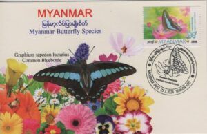Myanmar (2024) Card / Butterfly (2)