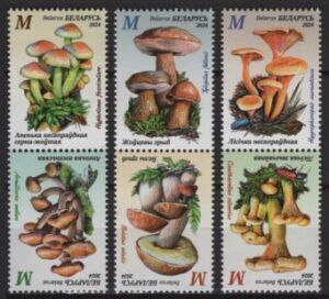 Belarus (2024) Set - Inverted / Mushrooms