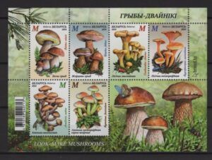 Belarus (2024) Block / Mushrooms