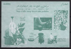 Algeria (2024) Block / Bitter Orange Blossom Water