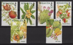 Bermuda (2024) Set / Fruit