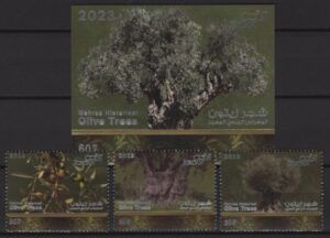 Jordan (2023) Set + Block / Olive Trees
