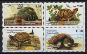 Tadjikistan (2024) Set / Turtles